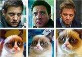 Grumpy Cat