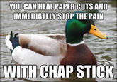 Actual Advice Mallard