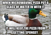 Actual Advice Mallard