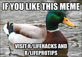 Actual Advice Mallard