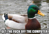 Actual Advice Mallard