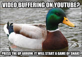 Actual Advice Mallard