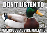 Actual Advice Mallard