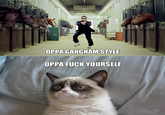 Grumpy Cat