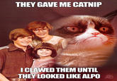 Grumpy Cat