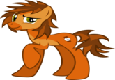 Littlest Pet Shop