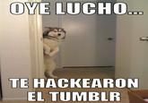 Oye Lucho, El perro del lucho