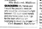 Horse-Sized Duck