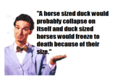 Horse-Sized Duck