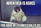 IKEA Monkey