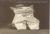 Aristocat