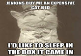Aristocat