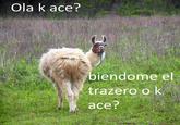 Ola K Ase
