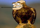 Golden Eagle Snatches Kid