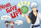 Lettuce / It Says "Never Give Up"
