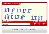 Lettuce / It Says "Never Give Up"