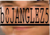 Bazinga