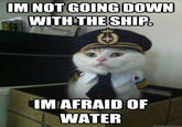 Captain Kitteh