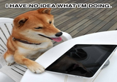 I Have No Idea What I'm Doing
