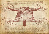 Orvillecopter / Helicopter Cat