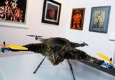 Orvillecopter / Helicopter Cat