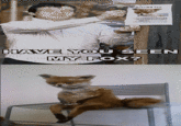 Stoned Fox (Упоротая лиса)
