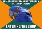Paranoid Parrot