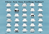 Expression Meme
