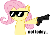 Pony Reactions