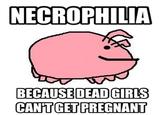 The Silly Sea Pig