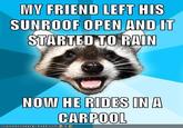 Lame Pun Coon