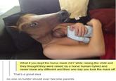 Horse Head Mask