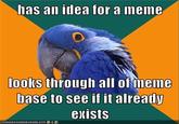 Paranoid Parrot