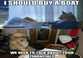 Financial Advice Dog