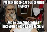 Financial Advice Dog