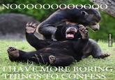Confession Bear