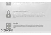 Megaupload