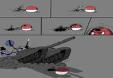 Polandball