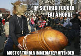 2013 Horse Meat Scandal