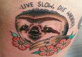 Astronaut Sloth