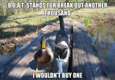 I Should Buy a Boat Cat