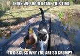 Grumpy Cat