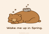 Pusheen