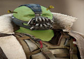 Shrek