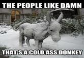 Thrift Shop