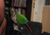 JonTron / Jon Jafari