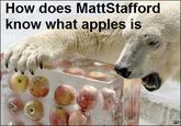 Apples Bear