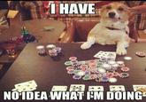 I Have No Idea What I'm Doing
