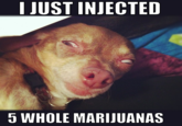 Faces of Marijuana