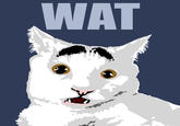 Wat